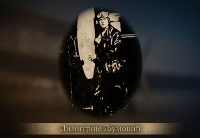 Авион на пашњаку