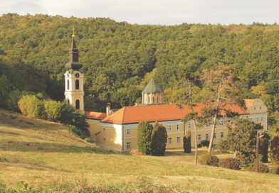 Духовни дом Доситеја